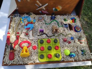 «Τα Παιδία Παίζει»